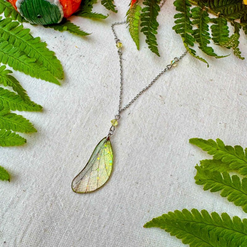 ecaille de dryade clairière moussue