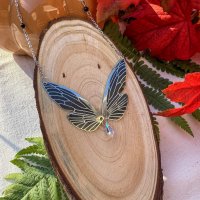 chrysacier sépia
