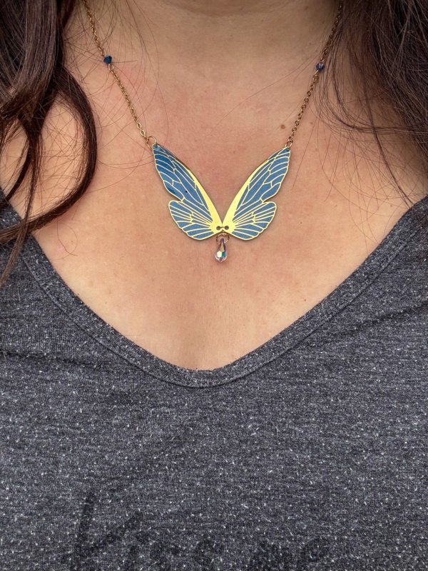 chrysacier azuré héritier du ciel
