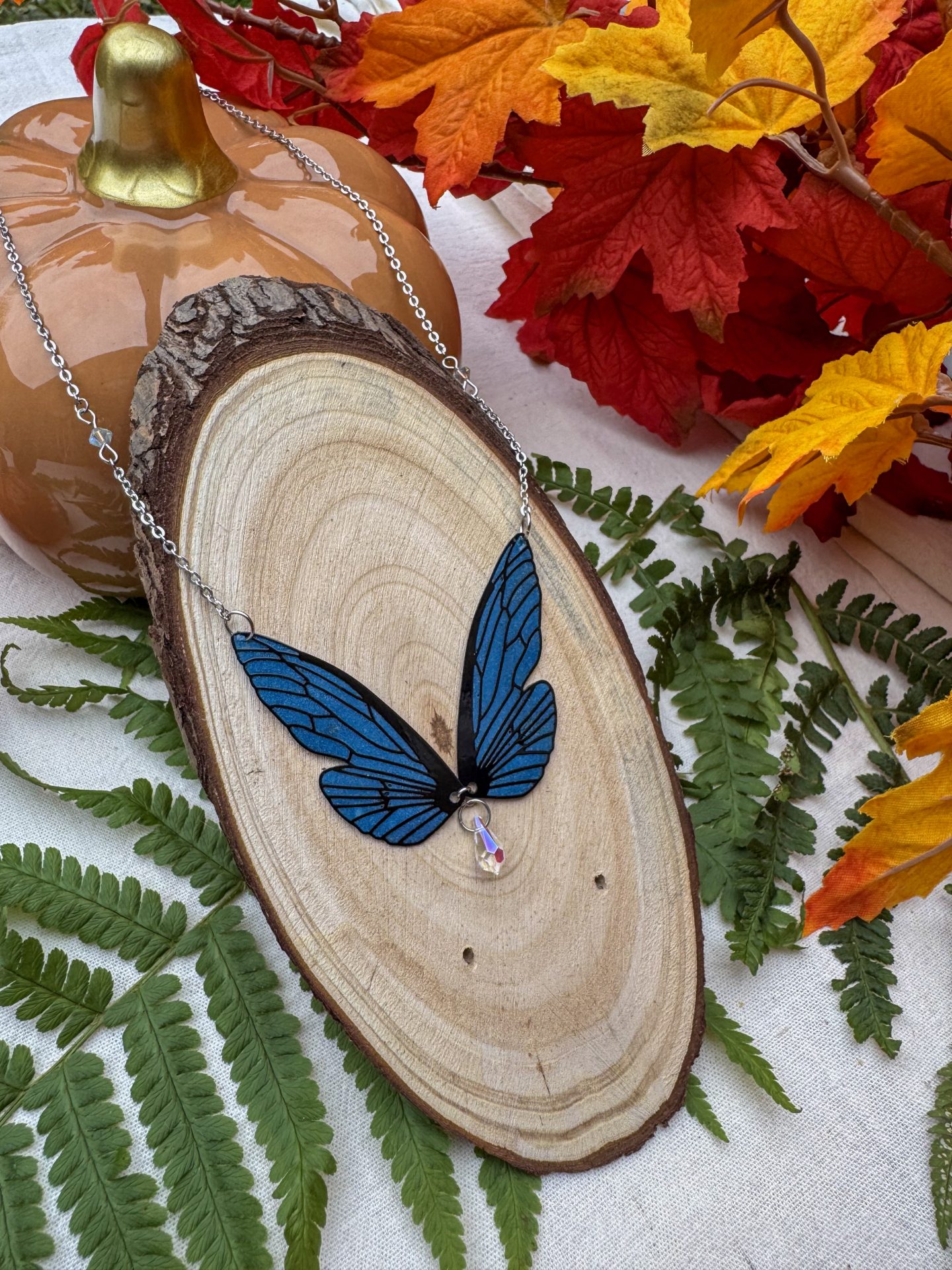 chrysacier nuit d'hiver