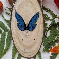 chrysacier nuit d'hiver