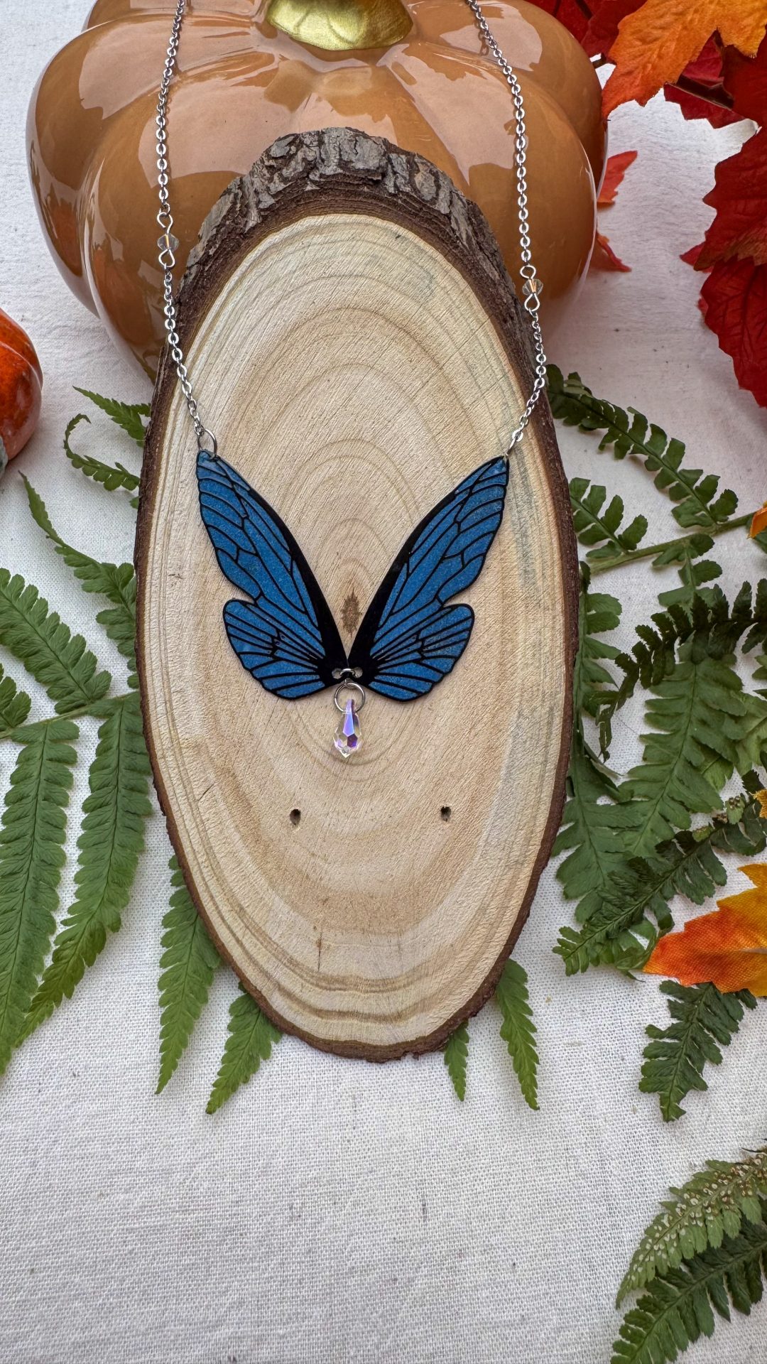 chrysacier nuit d'hiver