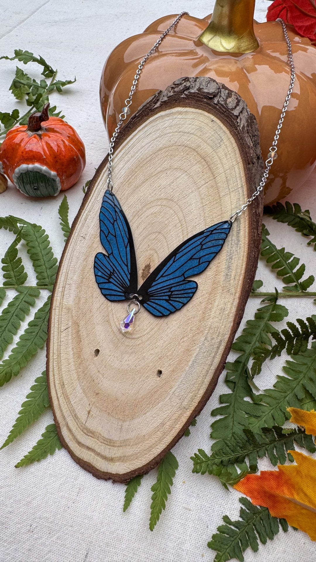 chrysacier nuit d'hiver