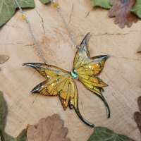 nympherya ensoleillement ardent