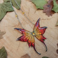 nympherya feu flamboyant