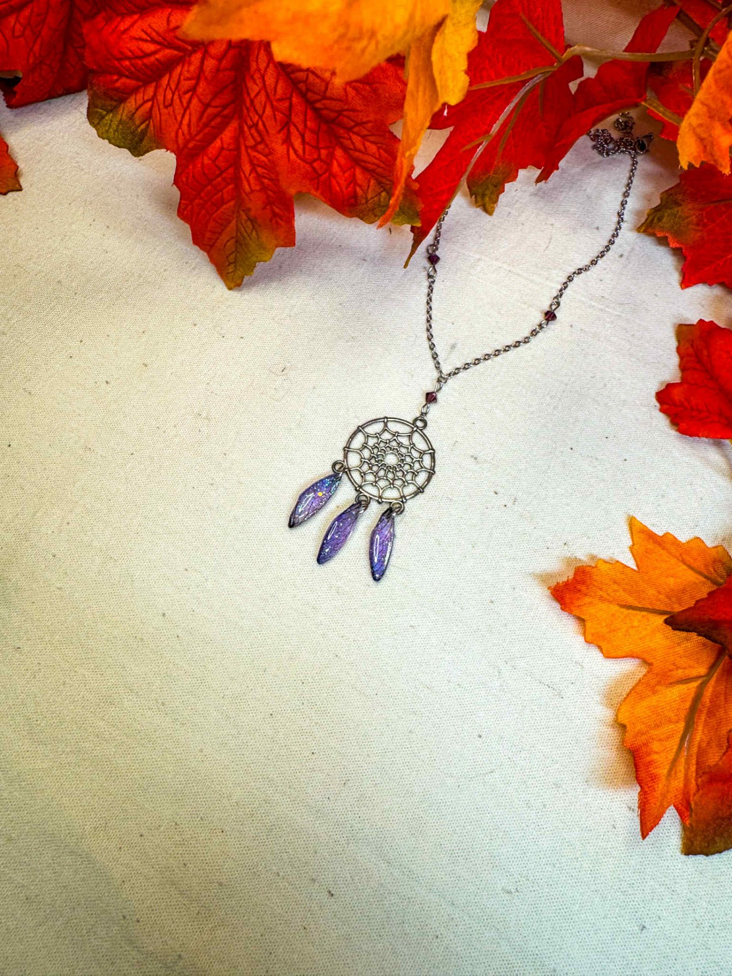 attrape fée nyctalope