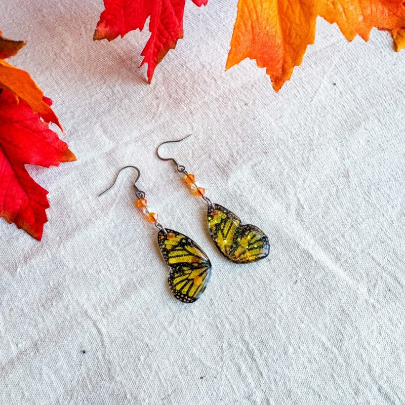 ecailles de dryade orangeraie grande