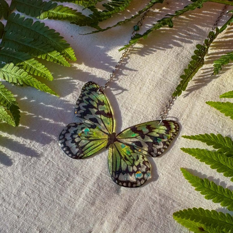 Papillon Grand Nacré